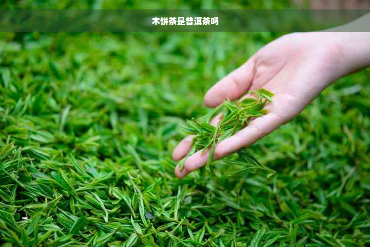 木饼茶是普洱茶吗