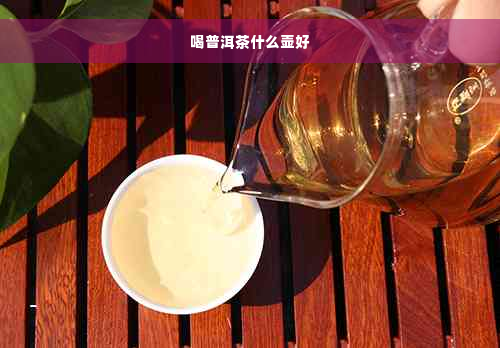 喝普洱茶什么壶好