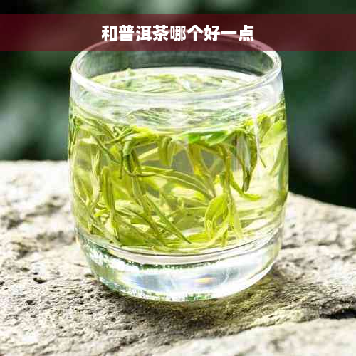 和普洱茶哪个好一点