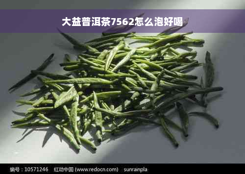 大益普洱茶7562怎么泡好喝