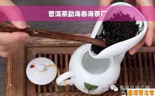 普洱茶勐海春海茶厂