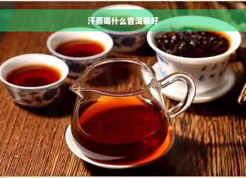 汗蒸喝什么普洱茶好