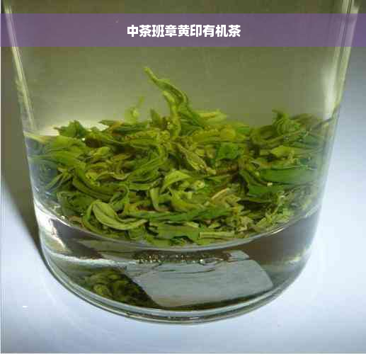 中茶班章黄印有机茶