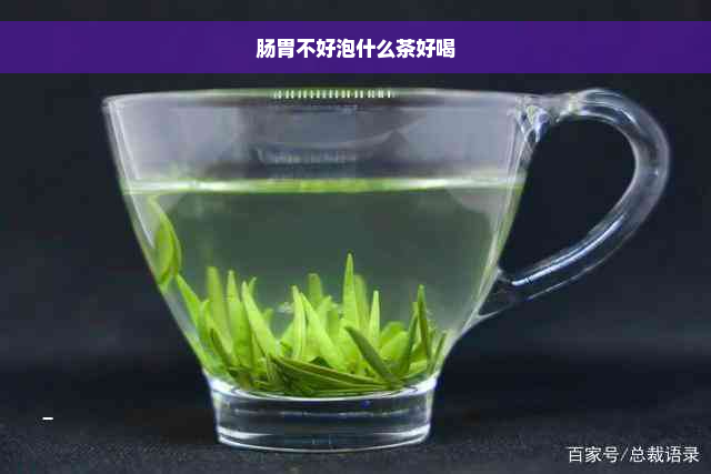 肠胃不好泡什么茶好喝