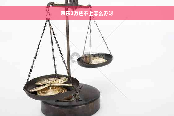 京东3万还不上怎么办呀