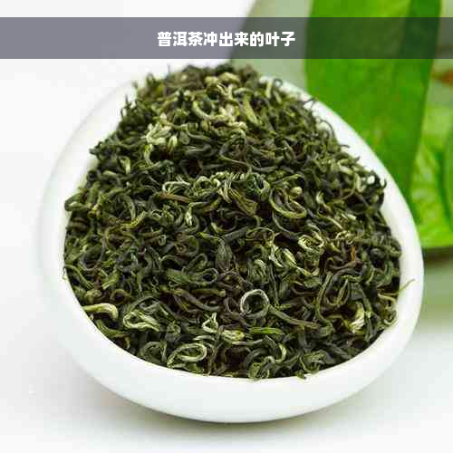 普洱茶冲出来的叶子