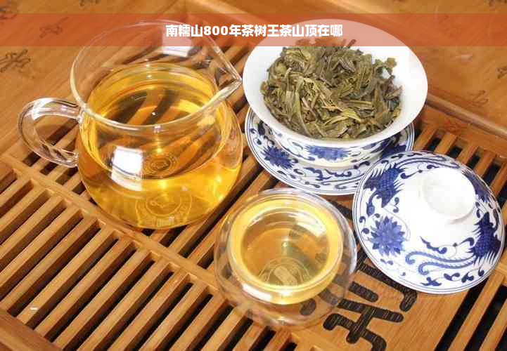 南糯山800年茶树王茶山顶在哪