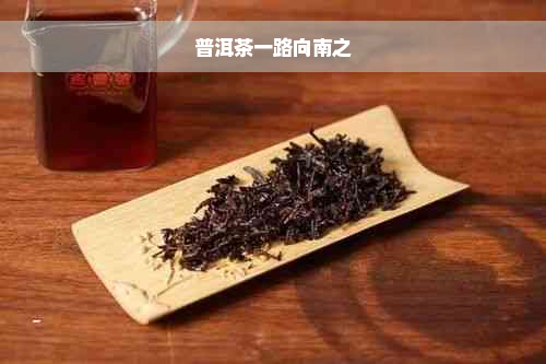 普洱茶一路向南之