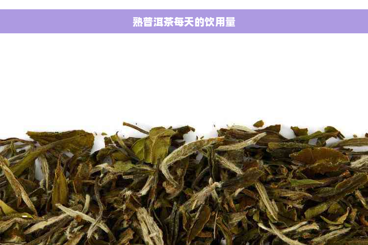 熟普洱茶每天的饮用量