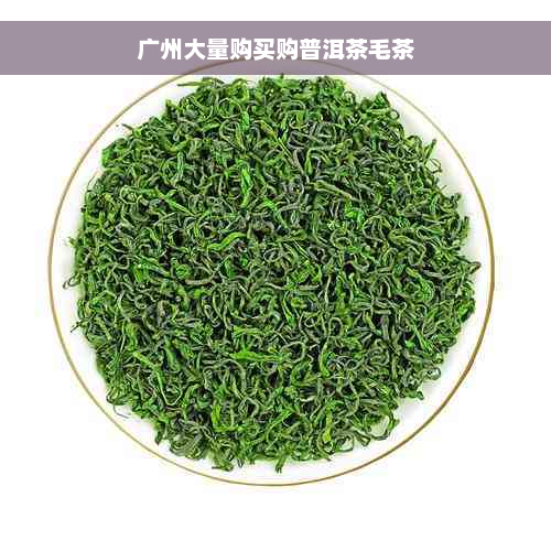 广州大量购买购普洱茶毛茶