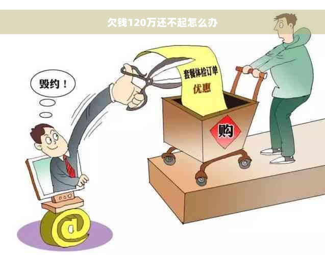 欠钱120万还不起怎么办