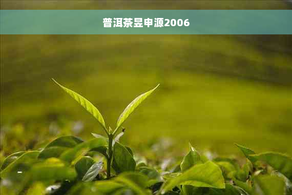 普洱茶昱申源2006