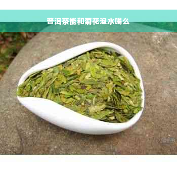 普洱茶能和菊花泡水喝么