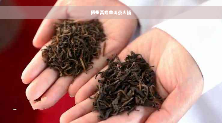 梧州高端普洱茶店铺