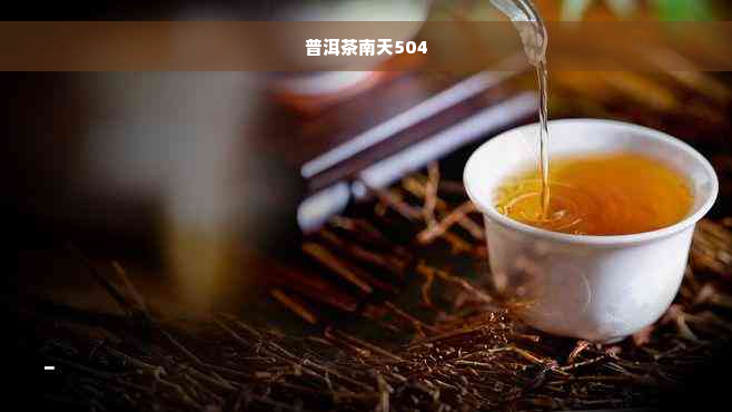 普洱茶南天504