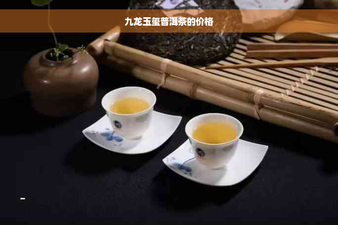 九龙玉玺普洱茶的价格