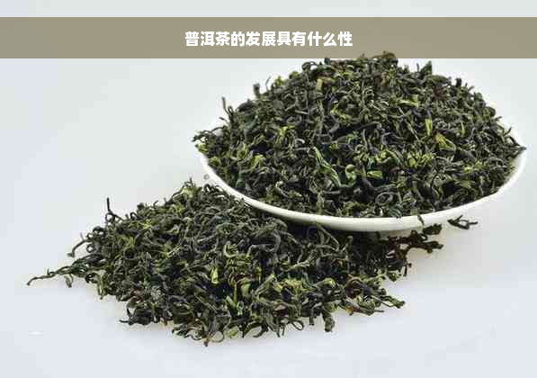 普洱茶的发展具有什么性