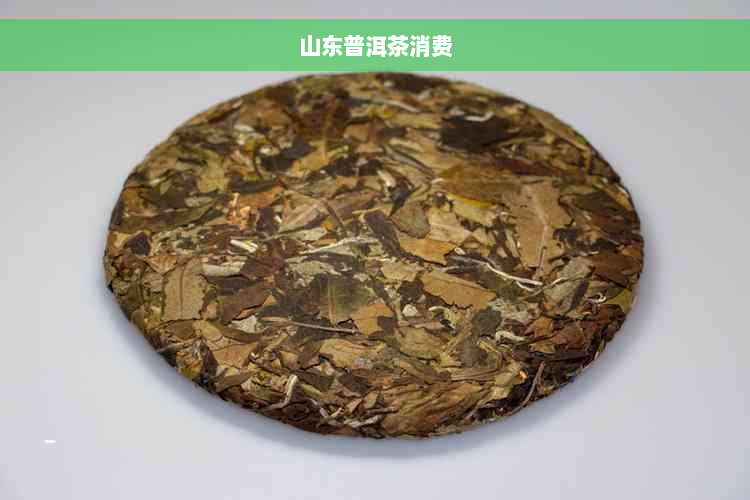 山东普洱茶消费