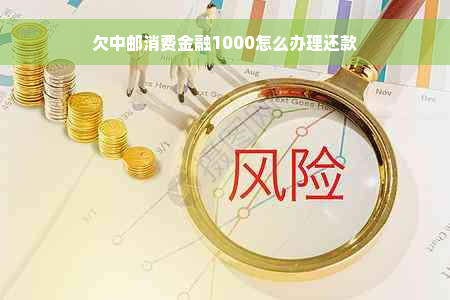 欠中邮消费金融1000怎么办理还款