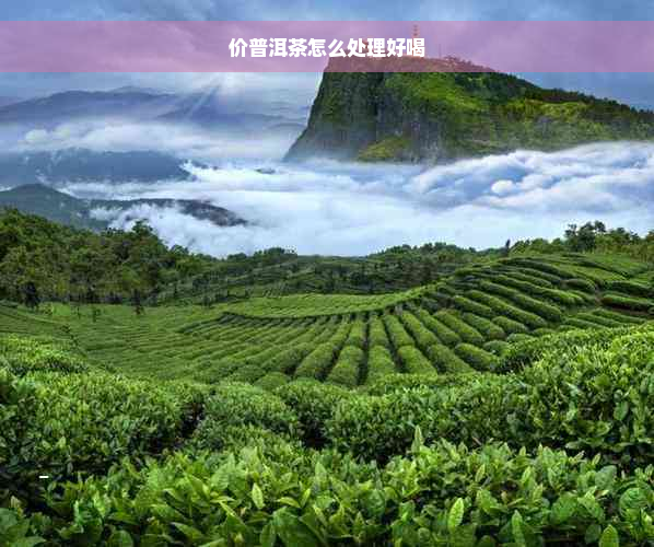 价普洱茶怎么处理好喝