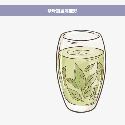 茶叶加盟哪些好