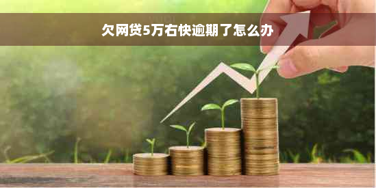 欠网贷5万右快逾期了怎么办