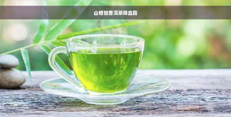 山楂加普洱茶降血脂