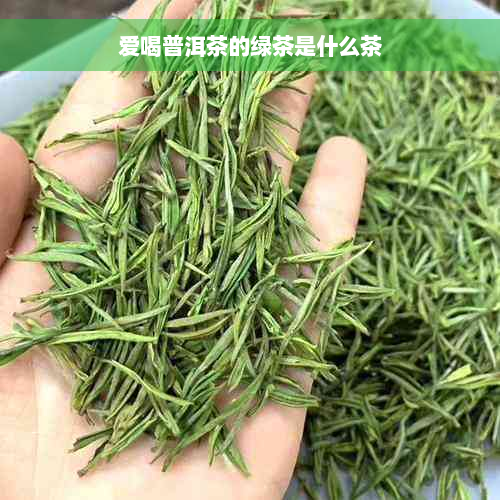 爱喝普洱茶的绿茶是什么茶