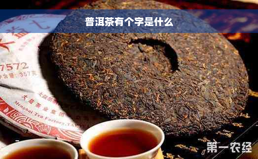 普洱茶有个字是什么