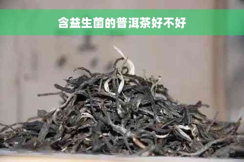 含益生菌的普洱茶好不好