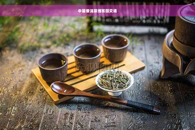 中国普洱茶博览园交通