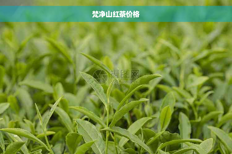 梵净山红茶价格