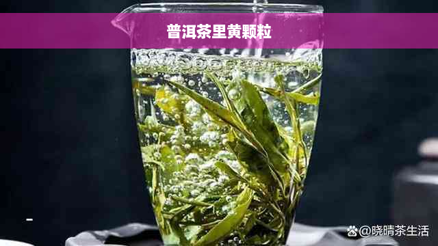 普洱茶里黄颗粒