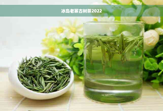 冰岛老寨古树茶2022