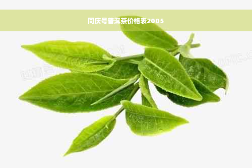 同庆号普洱茶价格表2005