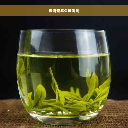 普洱茶怎么难喝啊