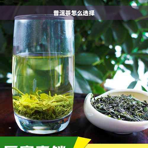 普洱茶怎么选择