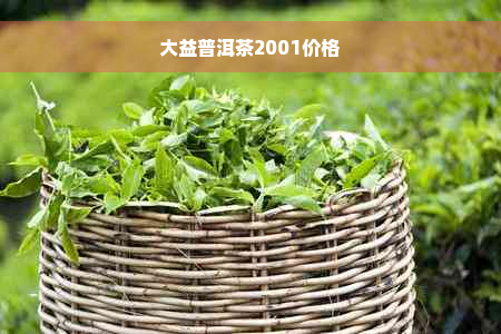 大益普洱茶2001价格