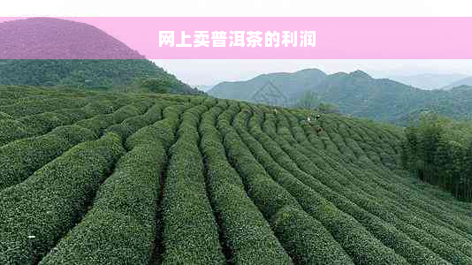 网上卖普洱茶的利润