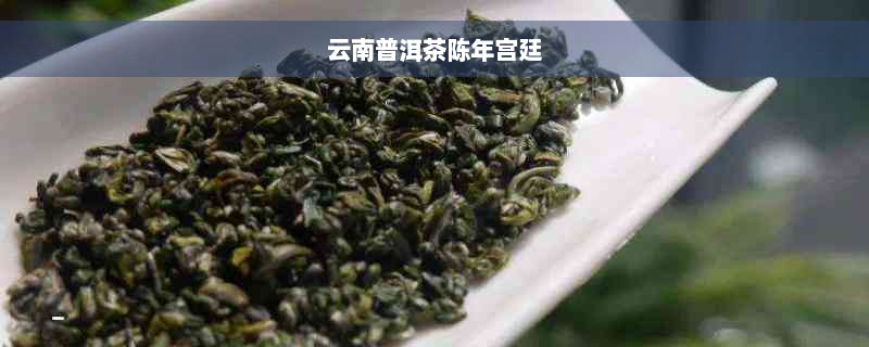 云南普洱茶陈年宫廷