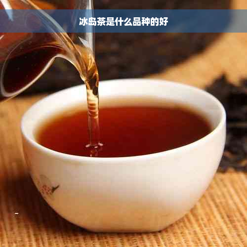 冰岛茶是什么品种的好