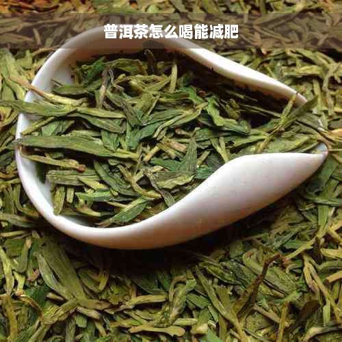 普洱茶怎么喝能减肥