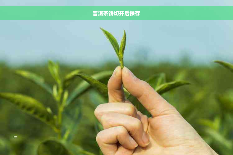 普洱茶饼切开后保存