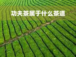 功夫茶属于什么茶道