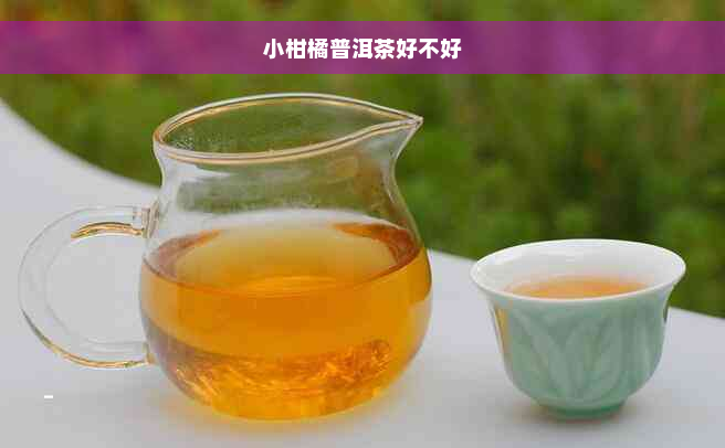 小柑橘普洱茶好不好