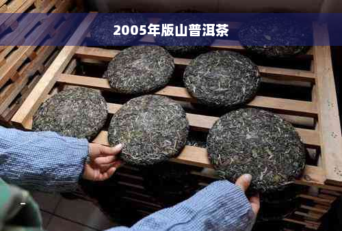 2005年版山普洱茶