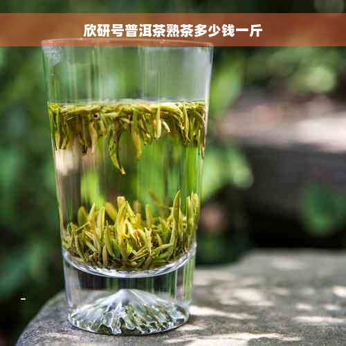 欣研号普洱茶熟茶多少钱一斤