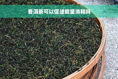 普洱茶可以促进能量消耗吗