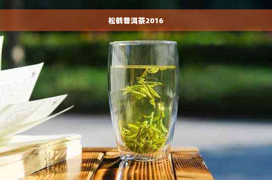 松鹤普洱茶2016