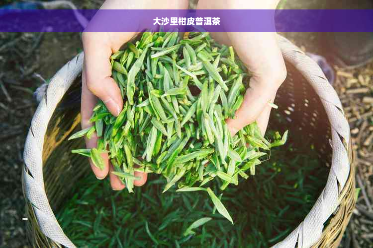 大沙里柑皮普洱茶